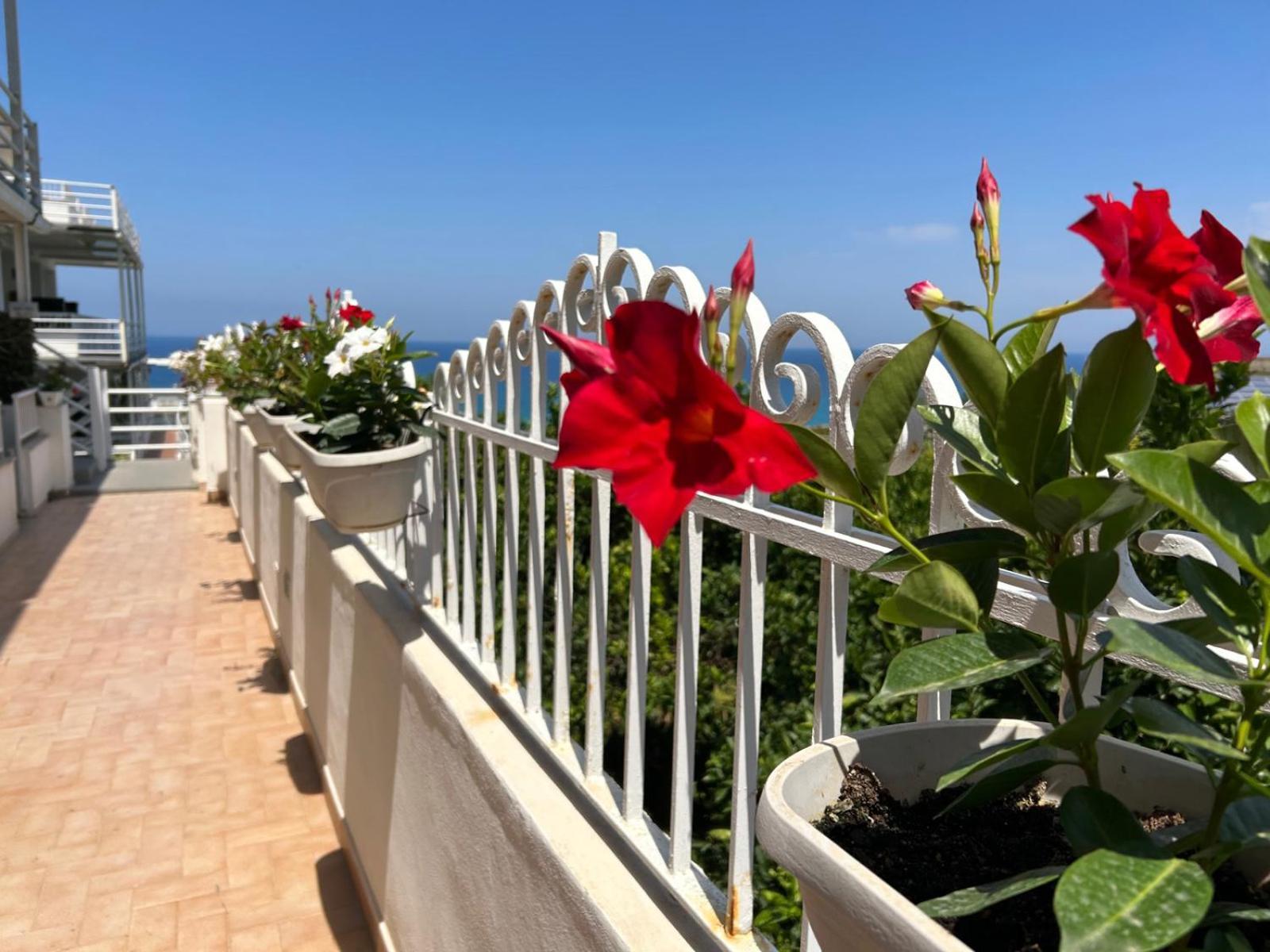 Hotel Mediterranean Boutique